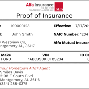Insurance Card
