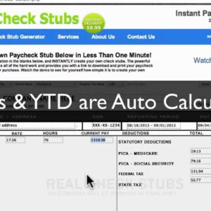 Real unedited Paystubs
